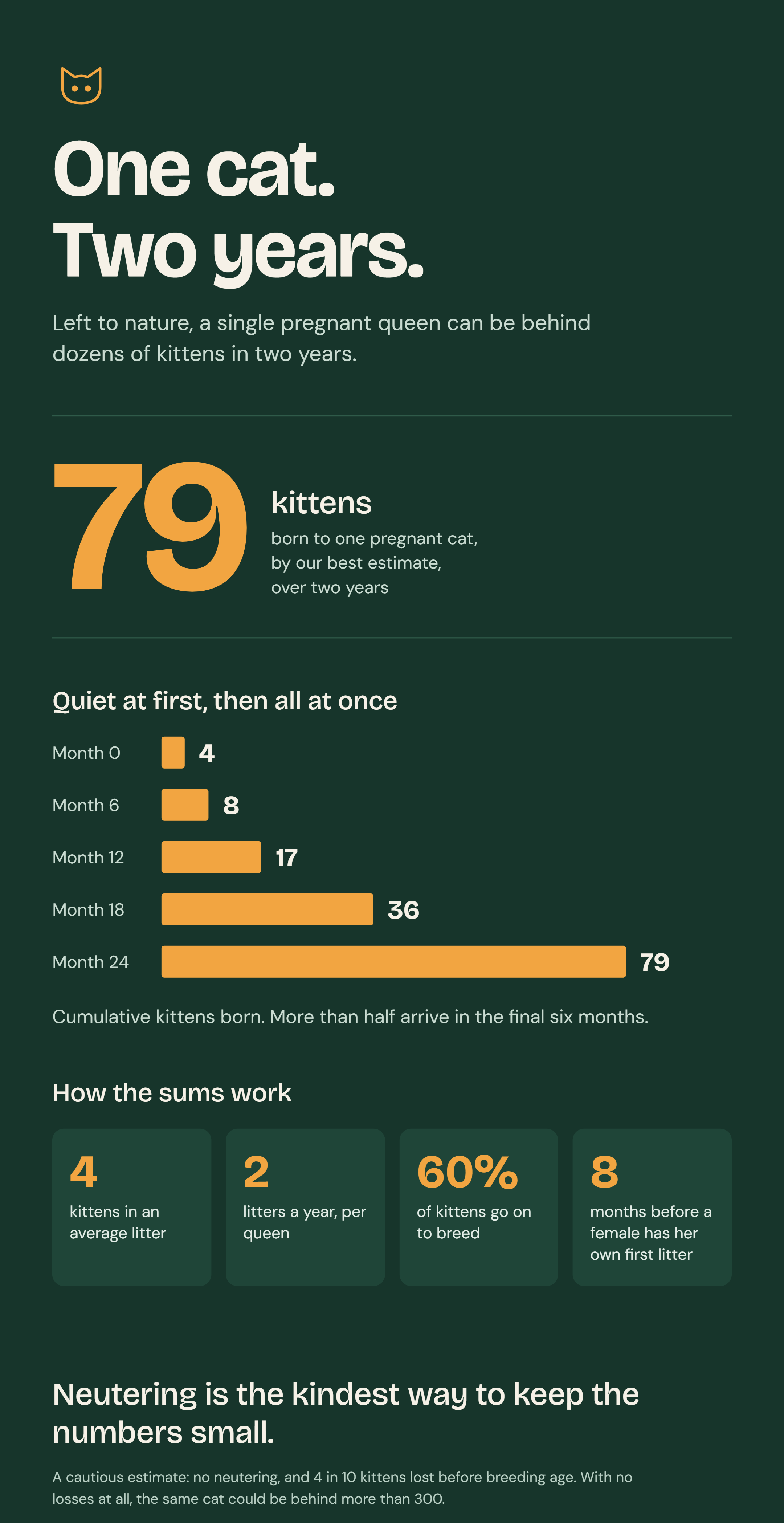 The impact of uncontrolled breeding on rescues Image